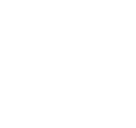Service Icon